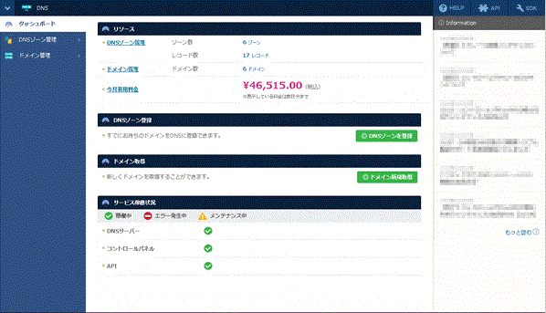 DNS：DNSコントロールパネル